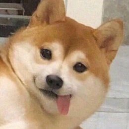 賈予檬