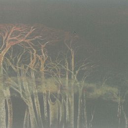 渡