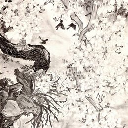 《花想容》