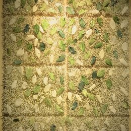《光影流年》