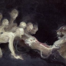 《人科动物》