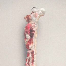 《赛金花的大腿》