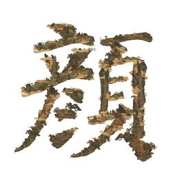 颜·字居品牌设计