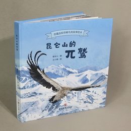 《昆仑山的兀鹫》