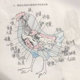 王奕苹