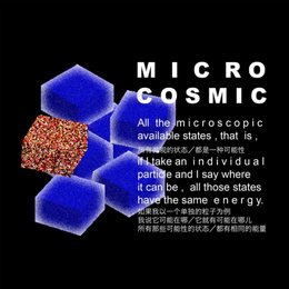 《微观》（Microcosmic)