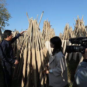 广东揭阳地区“大龙香”艺术研究