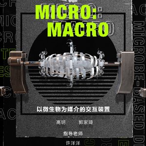 《MICRO:MACRO》