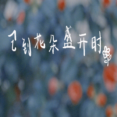 已到花朵盛开时