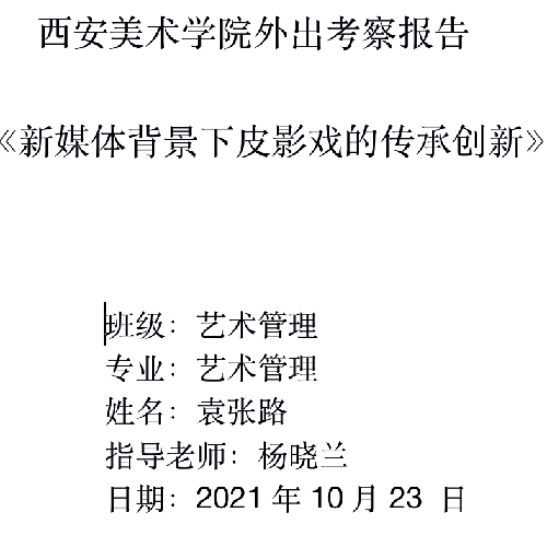 《新媒体背景下皮影戏的传承创新》