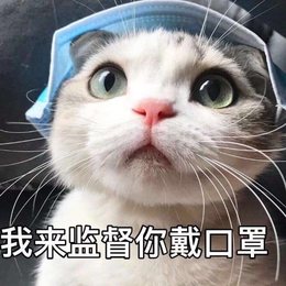 白雨晨
