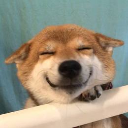 张笑