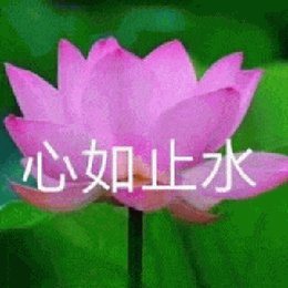 张译丹