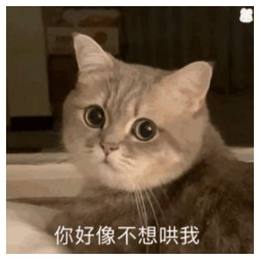 林梅婷