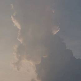 赵明月