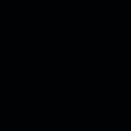 张雨桐