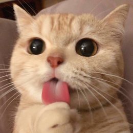 周慧林