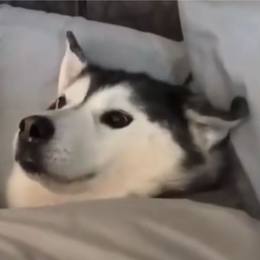 朱予墨
