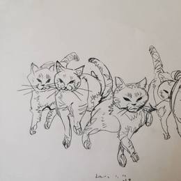 猫⑴