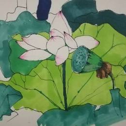 荷花