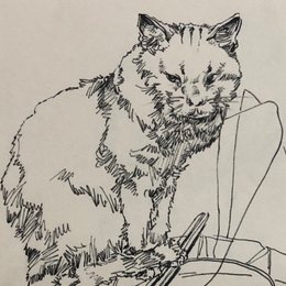 温暖