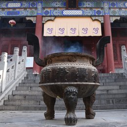 我的家乡