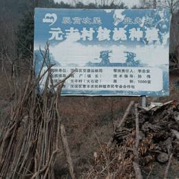 种植基地