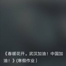 《春暖花开。武汉加油！中国加油！》