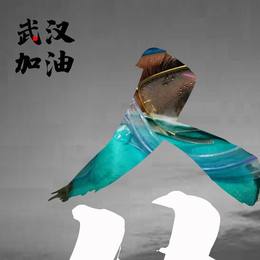 寒假作业