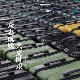 《众志成城  共克时艰》