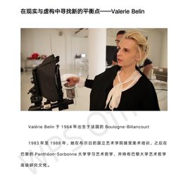 Valerian Belin 艺术家案例分析