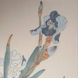 临郑乃光作品