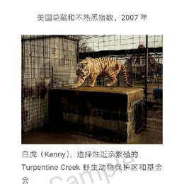 平静中的真相——Taryn Simon