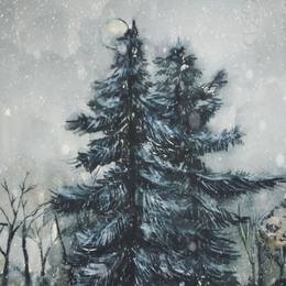 《长安·银月挂雪松》
