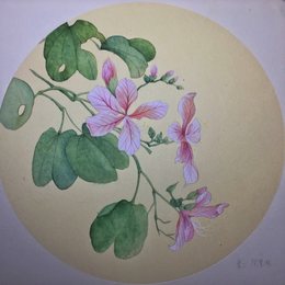 工笔临摹